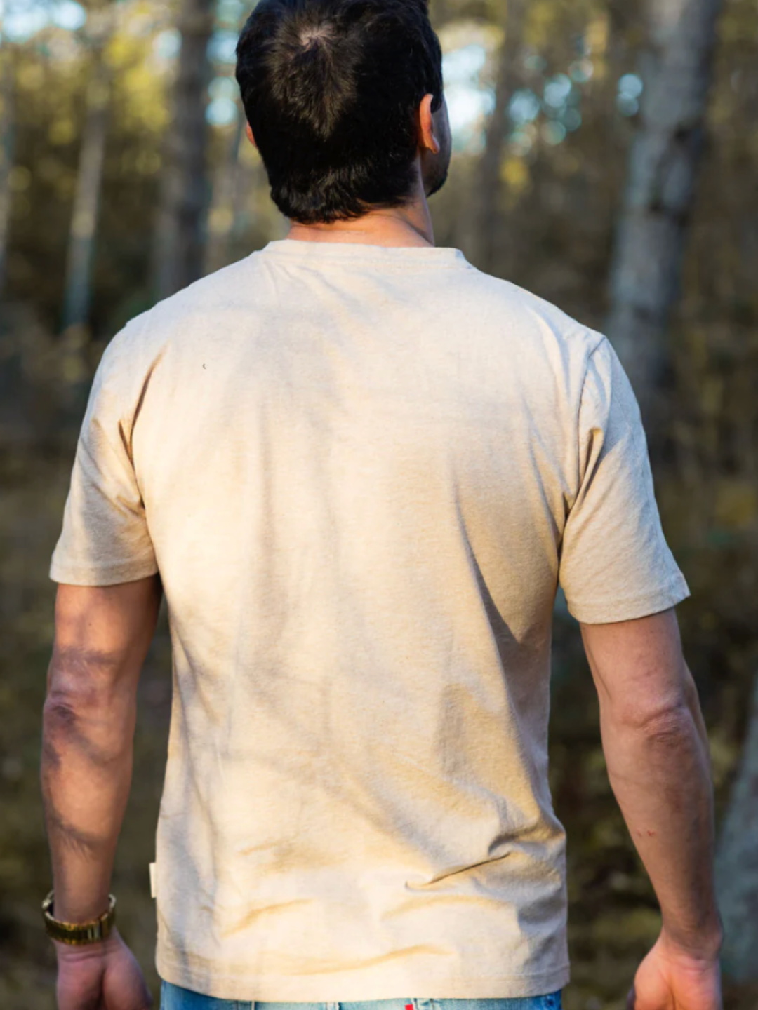 Økologisk bomulds T-shirt til herrer i beige - Vimpulze